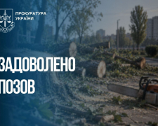 езаконно зрубали понад 1200 дерев - на Запоріжжі стягнули 5 млн грн збитків, фото: Запорізька обласна прокуратура