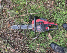 Екоінспекція викрила вирубку дерев — що знайшли під час рейду в Запорізькому районі (фото)