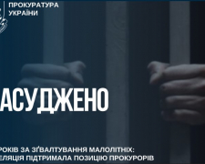 Вирок без змін: запоріжець проведе 15 років за ґратами за зґвалтування двох малолітніх дівчат, фото: Запорізька обласна прокуратура 