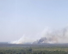 Полум’я охопило ліси – у Запорізькому районі вогнеборці гасять пожежу площею 50 гектарів (фото)
