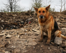 «Не можу залишити під обстрілами» - мешканка Запорізької області ризикувала життям заради своїх тварин