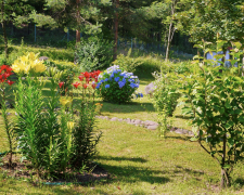 Які квіти треба садити у квітні - поради для красивого саду