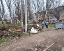 Звалища на вулиці - у Запоріжжі екологи виявили стихійний смітник поряд із баками для відходів (фото)