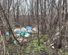 Незаконне сміття біля житлового будинку: екологи перевірили Дніпровський район