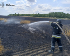 В селі Запорізького району сталась масштабна пожежа - фото