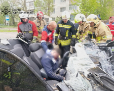 На вулиці кияшка в Запоріжжі дерево розчавило авто з водієм. Фото: ДСНС 