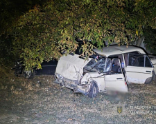 Поліція відкрила кримінальне провадження, з'ясовує обставини аварії, внаслідок якої загинув водій