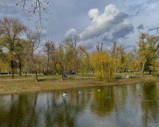 Оселився у &quot;Дубовому гаю&quot; - у центральному запорізькому парку живе лебідь, врятований українським воїном (фото, відео)