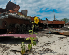 Сума збитків зростає щодня - екологи оцінили масштаби шкоди довкіллю Запорізької області, завданих війною