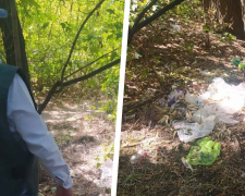 Стихійні смітники у лісосмузі – мешканці Запоріжжя поскаржились екологам (фото)
