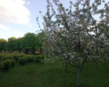 Запоріжжя, фото Світлани Олійник