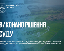 Запоріжець сплатив понад 1,6 млн  грн.  за використання землі без договору оренди, фото: Запорізька обласна прокуратура 