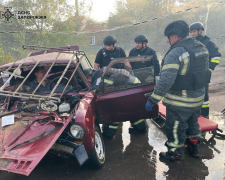 Водій не впорався з керуванням — на Запоріжжі ДТП забрала життя жінки (фото)