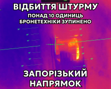 На Запорізькому напрямку українські військові  знищили ворожу бронетехніку, фото: "Роніни"