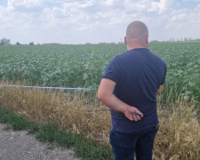 Захопили землю - заповідну територію у Запорізькому районі перетворили на сільгоспугіддя (фото)