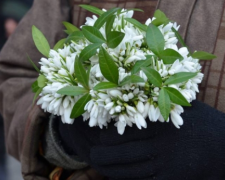 У Запоріжжі жінка продавала заборонені квіти – справою займуться у суді