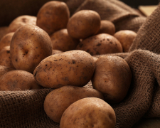 Щоб не проросла і не зіпсувалася: як правильно зберігати картоплю