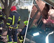 Пожежа у Запоріжжі забрала життя жінки — рятувальники також врятували бабусю з пастки (фото)