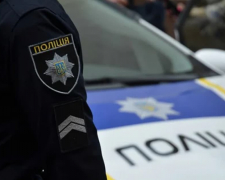Маленький хижак - у Запоріжжі з допомогою небайдужих врятували червонокнижного птаха (фото)