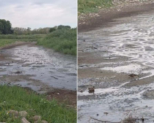 Озеро зникло – у парку Перемоги в Запоріжжі водойма повністю пересохла (відео)