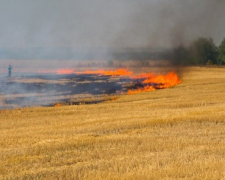 Знищують врожай - у Запорізькій області через обстріл росіян спалахнула пожежа на пшеничному полі (фото)