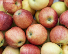 Перевірені способи: як зберігати яблука свіжими упродовж тривалого часу