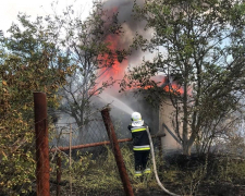 Через загоряння трави на дачах у Запорізькому районі згоріло вісім господарчих споруд - фото