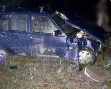 У Запоріжжі п&#039;яний водій не впорався з керуванням авто і врізався в бордюр - фото