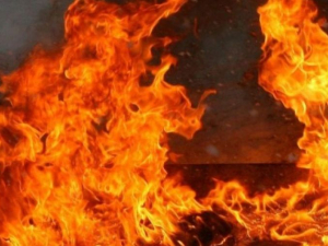 У Гуляйполі рятувальники на пожежі врятували жінку