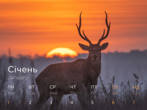 Відомий фотохудожник підготував календар на 2024 рік із дивовижними знімками Хортиці