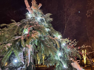 Морози, сніг і ожеледиця - якою буде погода в Запоріжжі в останні вихідні грудня
