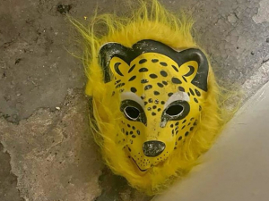 "Вполювали" звіра: у Запоріжжі спіймали жорстокого грабіжника у масці леопарда