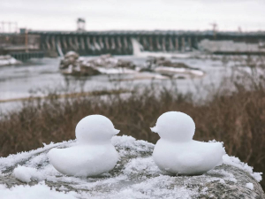 Морозно та майже без опадів — яку погоду прогнозують синоптики на старті тижня у Запоріжжі