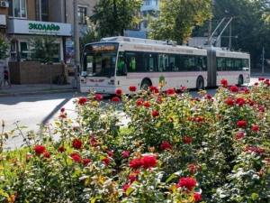 У Запоріжжі призупинили рух популярного тролейбуса