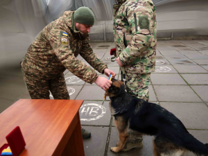 Справжні напарники: чотирилапі бійці із Запоріжжя отримали нагороди за службу - фото