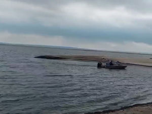У дніпровській воді в районі центрального запорізького парку виявили зниження рівня кисню: може загинути риба