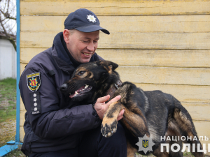 Вірний товариш та напарник: поліцейський розповів про роль службових собак у роботі (фото)