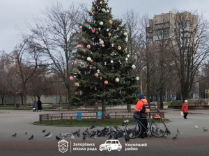 Вандалізм у парку - невідомі вкрали іграшки з ялинки в Запоріжжі