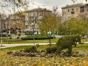 Тепло у листопаді – в Запоріжжі показники температури перевищили історичні рекорди
