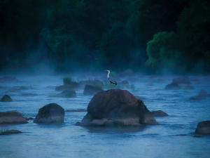 Життя у фокусі: у Запоріжжі відкриють міжнародну фотовиставку