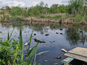 У Запоріжжі річку перетворили на суцільний жах - вкрита товстим шаром нафтопродуктів (фото, відео)