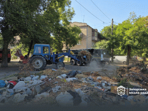 У дворі в історичній частині Запоріжжя влаштували величезне стихійне сміттєзвалище