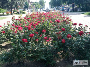 Справжня спека: якою буде погода в Запоріжжі на початку тижня