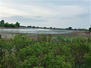 У Запоріжжі падає рівень кисню в дніпровській воді: чим це загрожує