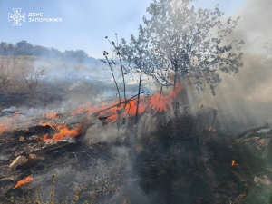 Через обстріли на Запоріжжі сталися масштабні пожежі (фото) 