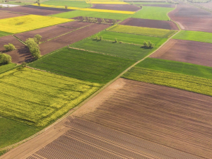 Громаді повернули землю — у Запорізькому районі розірвали оренду за несплату