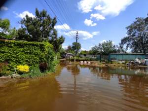 Вода продовжує прибувати: як виглядає затоплене село під Запоріжжям (фото)
