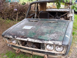 Покинуті "жигулі" у дворі Хортицького району.