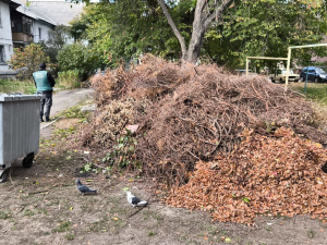 Сміття серед багатоповерхівок - у Запоріжжі виявили несанкціоноване звалище (фото)