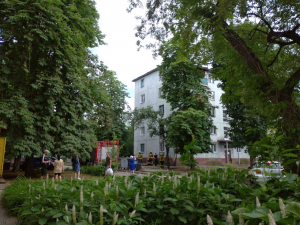 У Запоріжжі хлопчик заліз на черешню та не міг спуститися вниз - фото, відео